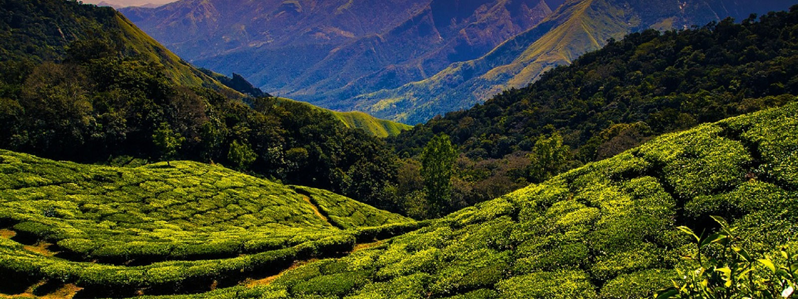 Attractions in Thekkady