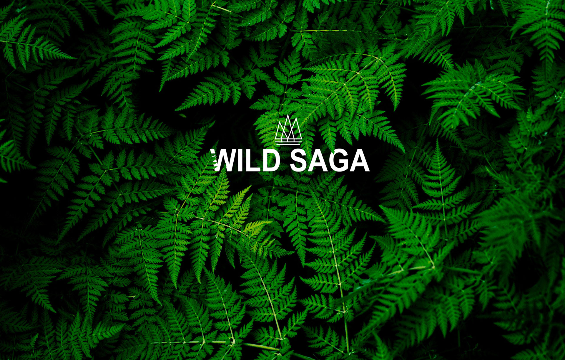 Wild Saga